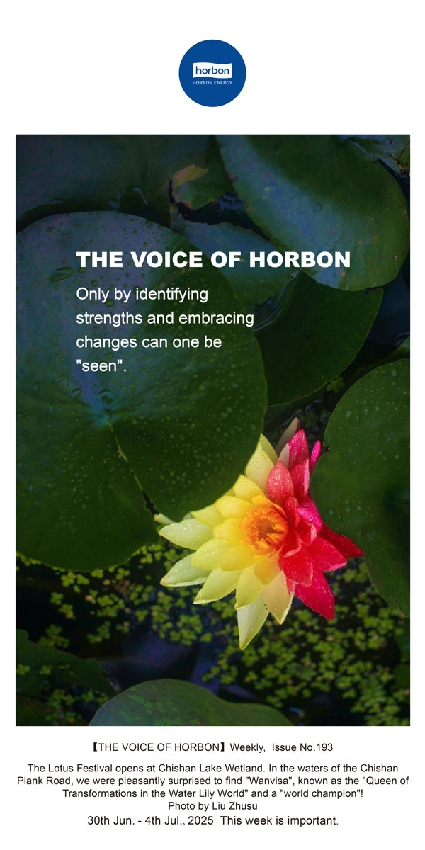 【和之声】找准优势、、拥抱转变，，才华“被望见”。(总第193期）--2025.6英文导出季度推送用.jpg